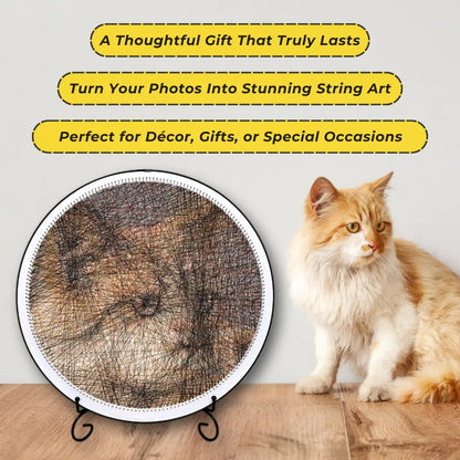 Custom pet portrait string art of a cat by STRINGUART, displayed alongside the real pet.