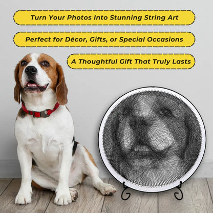 Custom pet portrait string art of a dog by STRINGUART, displayed alongside the real pet.